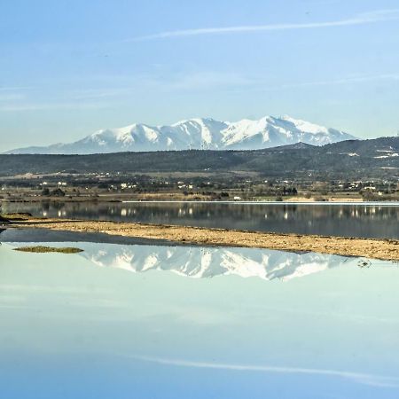 Appartement Le Flamant Rose Port-la-Nouvelle Exterior foto